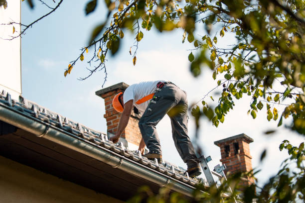Best Hot Roofs  in Hamburg, IA