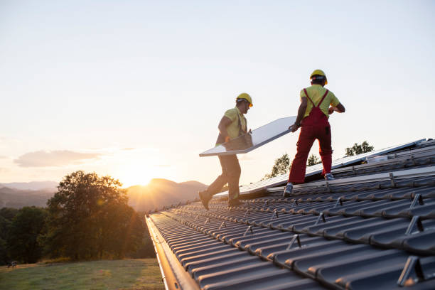 Best Asphalt Shingle Roofing  in Hamburg, IA