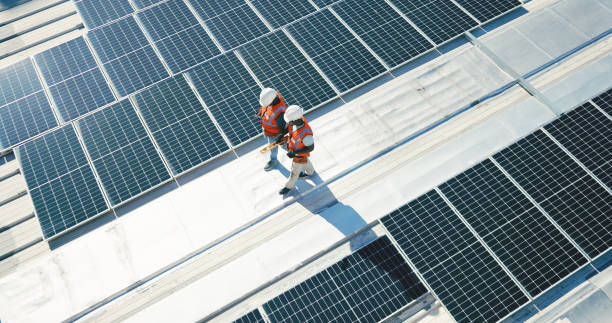 Best Storm Damage Roof Repair  in Hamburg, IA