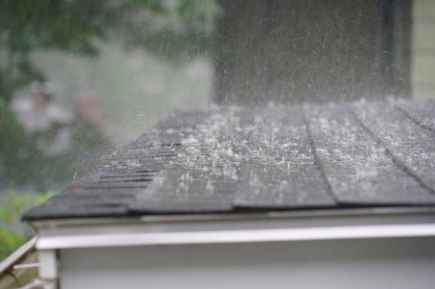 Best Roof Insulation Installation  in Hamburg, IA