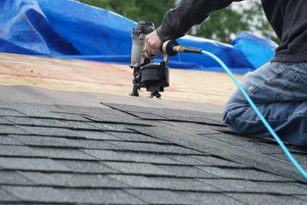 Best Green or Eco-Friendly Roofing Solutions  in Hamburg, IA