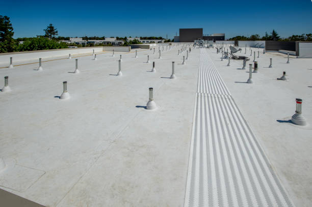 Best Rubber Roofing (EPDM, TPO)  in Hamburg, IA